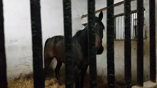 20171231 161637 News