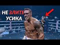 Самый ЖЕСТКИЙ УКРАИНСКИЙ БОКСЕР !!! 5 раз когда Александр Усик РАЗОЗЛИЛСЯ и ОБРУШИЛ всю МОЩЬ !