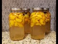 Peach Kompot-