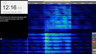 The Buzzer/UVB-76(4625Khz) July 30th 2020 12:16UTC Voice message