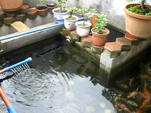 andre s small koi pond w diy filter youtube