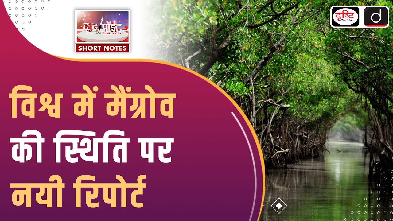State of the World’s Mangroves 2024 Report | To The Point | UPSC Current Affairs 2024 | Drishti IAS