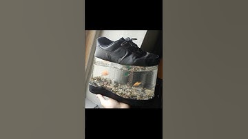 Shitpost status meme | shitpostatus | dank memes