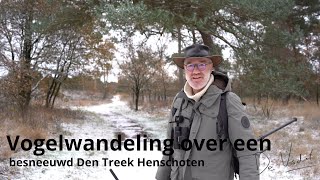 Download Lagu Vogelwandeling over een besneeuwd Den Treek Henschoten #1679 MP3