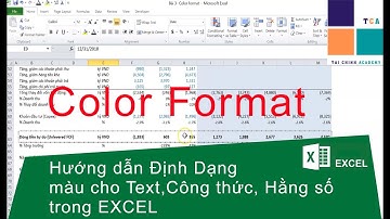 Cách chỉnh format màu đối với text, formula, constant,... trong excel - Color format