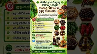 ගම්මිරිස් ආශ්‍රිත අගය එකතු කල නිෂ්පාදන පිළිබද නොමිලේ පුහුණුව