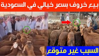 بيع خروف بسعر خيالي في السعودية والسبب غير متوقع مع اقتراب عيد الأضحى