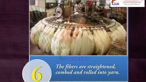 Class 7 Science Chapter 3 Fibre to Fabric - Processing of Fibres into Wool.