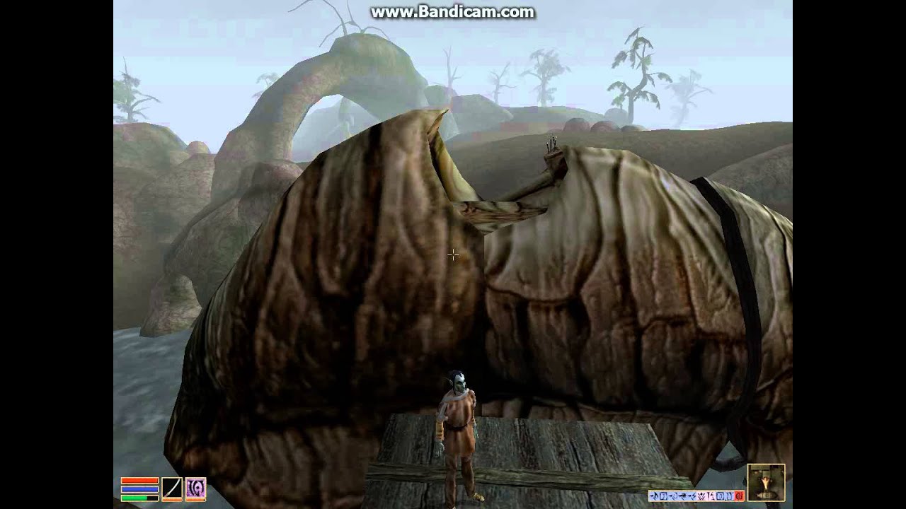 Morrowind ивовый пыльник