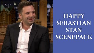 happy soft cute funny sebastian stan scenepack/clip pack (1080 with mega link)