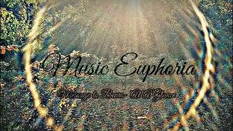 Message to Bears- At A Glance