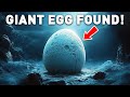 Mysterious Giant Egg Has Been Found In The Depths of Antarctica Sea