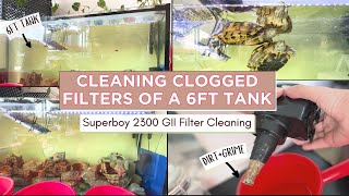 Cleaning Clogged Filters In 6ft Terrapin Tank | Superboy 2300 GII Aeration Enhancing Filter