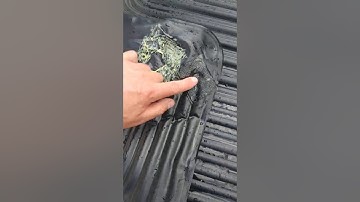 Intex 28685 Eco-Friendly Solar Heating Mat    poor quality see desc