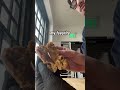Baker, yes. Content Creator? #cookies #donuts #omaha