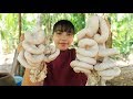 Yummy cooking Pig intestine recipe - Cooking skill