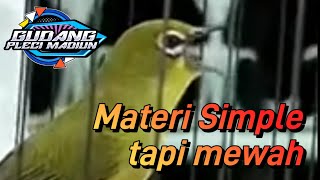 Pleci tembakan sejalur SIMPLE tapi mewah || cocok buat masteran