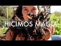 Hicimos Magia! Ahora nada va a ser Igual | Nuestro #Compost y un Mini Tour de Otoño