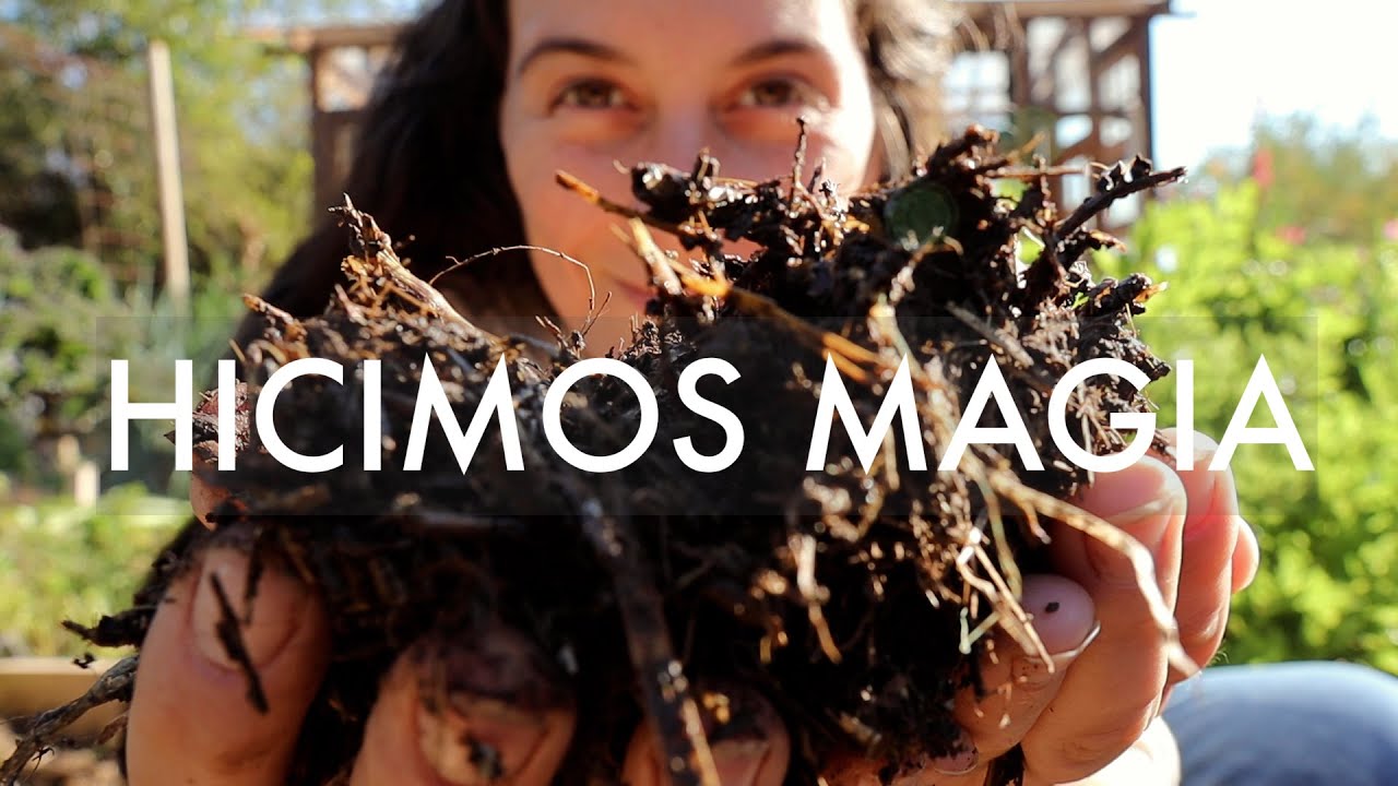 COMPOST EN MENOS DE UN MES! Hicimos Magia! Ahora nada va a ser Igual