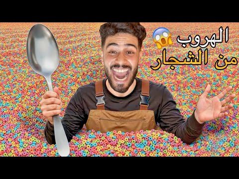 فاش كدابز في الزنقة كيليميني و حلوف الغيس