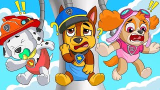 Unbelievable! BREWING CUTE BABY & CUTE PREGNANT!!! - Funny Story | PAW Patrol Ultimate Rescue