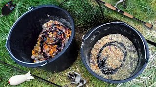 Два ведра прикормки на карпа, карася и сазана. ДЕДОВСКИЙ рецепт. Зерновые и другие компоненты.