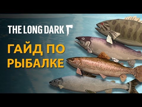 Видео: The Long Dark: Как ловить РЫБУ? ГАЙД по РЫБАЛКЕ