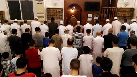 الشيخ محمد غزلان سورة المنافقون