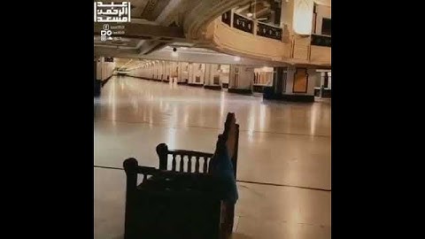 اية من سورة العنكبوت (أَوَلَمْ يَرَوْا أَنَّا جَعَلْنَا حَرَمًا آمِنًا..) (67) ( الحرم المكي 💔😭 )