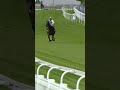 Jockey jumps off horse at 40mph!