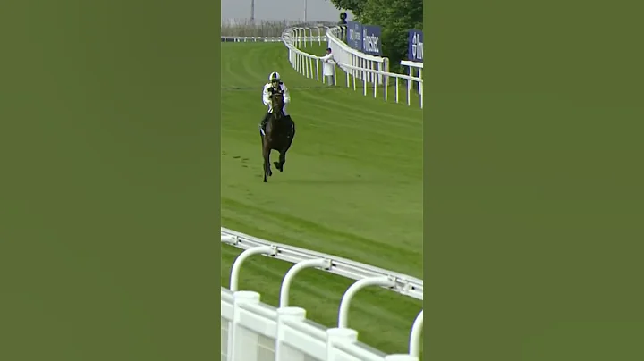 Jockey jumps off horse at 40mph! - DayDayNews