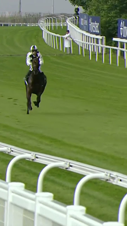 Jockey jumps off horse at 40mph!