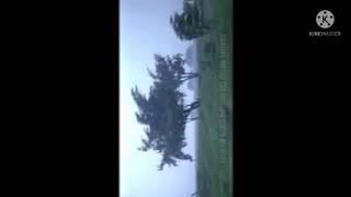 Link 13 detik Viral..🙈