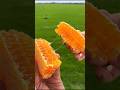 The Deadliest Fruit and Plant You've Never Seen! 😱 #fruit #nature