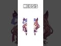 Mambo funny-cute video 😂 #mambomeme #cute #mambo #meme #umamusume #kawaii #funnycute