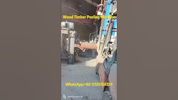 Wood Log Debarking Machine | Efficient Tree Bark Remover for Timber Processing 🌲🪵#woodprocessing