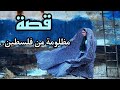 قصة مظلومه من فلسطين 3 