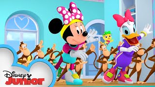 Monkeys, Monkeys Everywhere! | Minnie's Bow-Toons  🎀 | @Disney Junior
