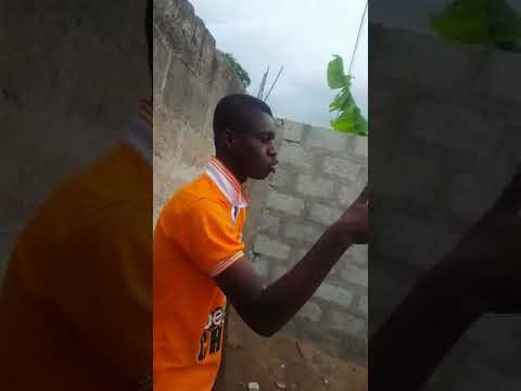Alampan cover(Jay dee)