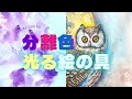 分離色の神秘/光る絵の具　238色のドットカード〈＃365〉