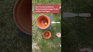 DIY: Olla Pflanzenbewässerung basteln