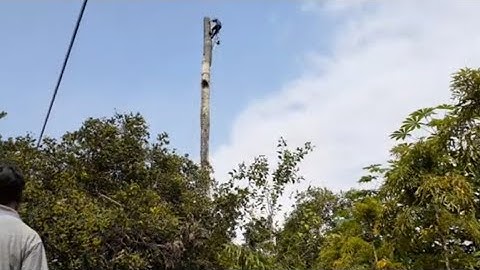 thạch lộc ninh # cắt cây dừa để lấy cũ hủ đâu dễ dàng. 0911003106 stilh ms 250