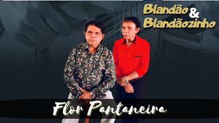 Blandão e Blandãozinho - FLOR PANTANEIRA