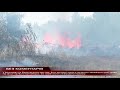 Вогнеборці ліквідували загорання сухої трави у м. Мукачево