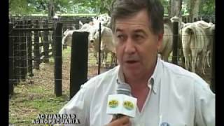 1 Jornada Brahman Cabaña La Leonor Presidencia Roca Chaco Argentina