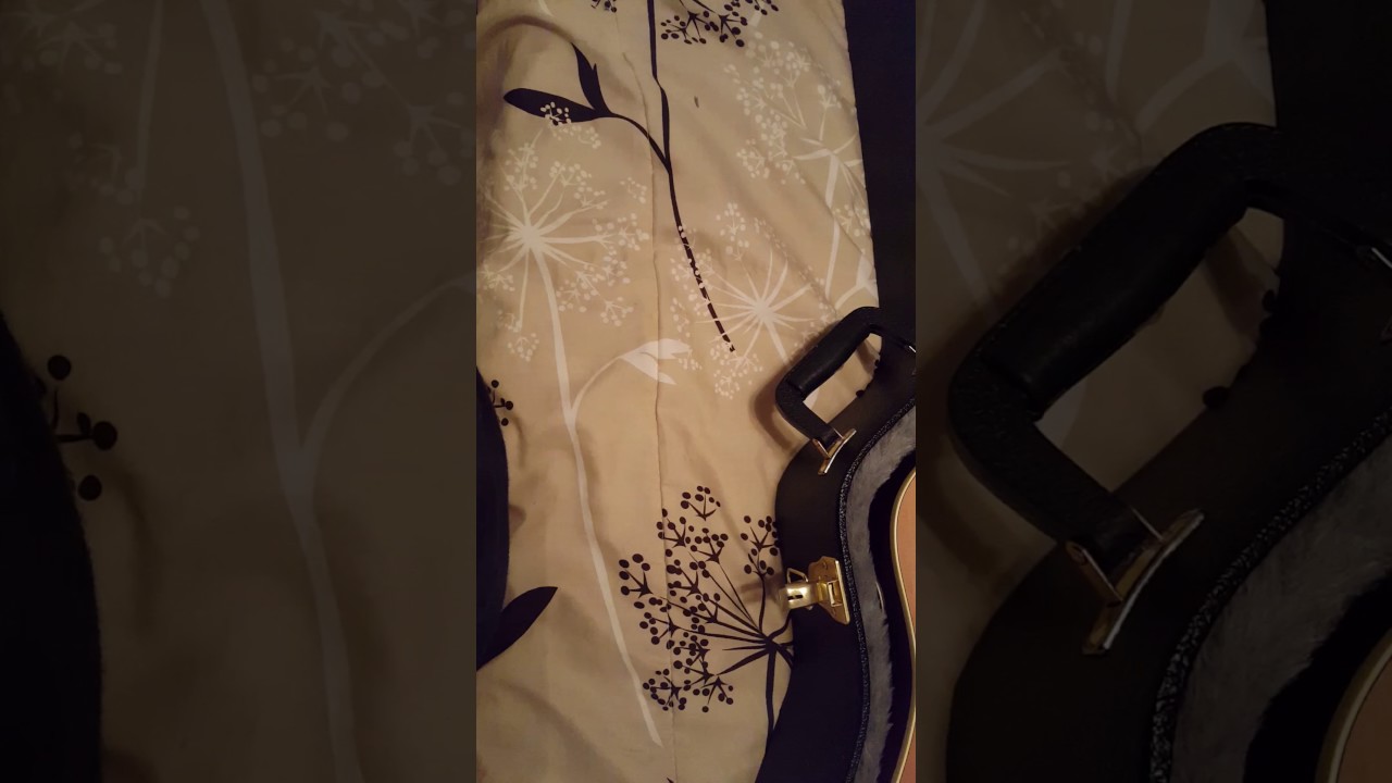 Seagull Coastline 12 string Acoustic Electric Guitar