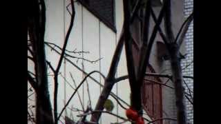 DSCF5286.avi