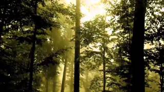 GWENDOLYNE -   Julio Iglesias chords