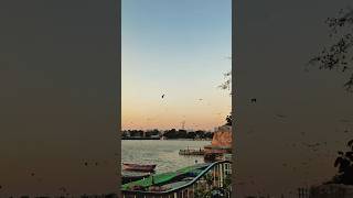 #bhopal beautiful 😍 view upper Lake view #lake #lakeview ,#sunset