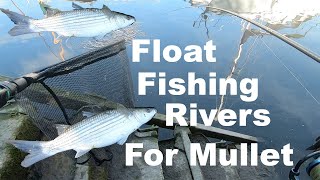 How to Catch Hard Fighting River Mullet Float Fishing Breadflake